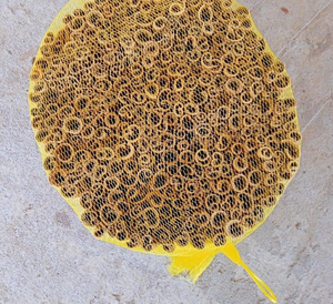 Canela Cassia de Vietnam Premium en Barra, Cortada en Tubo, Limpia, Especias Secas de Alta Calidad, Proveedor a Granel para la Industria Alimentaria de Exportación - Product Image 2