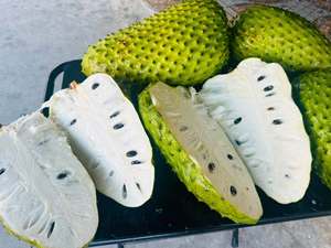 100% Natural IQF Frozen Soursop Pulp from Vietnam Factory - Product Image 1