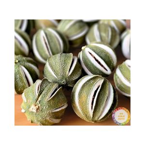 ORGANIC <b>DRIED</b> WHOLE GREEN LEMON SPLIT CUT 250G 1000GR PACKAGE GREEN <b>DRIED</b> LEMON (<b>LIME</b>) HOT SALE 2026 FOR HOME CHRISTMAS DECOR - Product Image 3