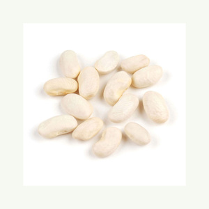 Haricots rouges biologiques de haute qualité, légers et mouchetés, séchés, en vrac, sacs PP de 25 kg, humidité 12-14%, Allemagne, durée de conservation de 2 ans - Product Image 2