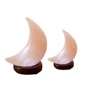 Modern Himalayan <b>Moon</b> Salt Lamp Best Selling <b>Moon</b> Shaped <b>Crystal</b> Decorative Lamp with OEM Size Private Label Supplier Services - Product Image 1