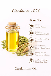 Cardamom Essential <b>Oil</b> Pure Natural 100% Pure Brightening Aromatherapy Skin Care Hair Care Massage <b>Diffuser</b> Use All Skin Types - Product Image 3