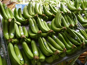 Venta al por mayor Premium Fresh Cavendish Banana de Vietnam de alta calidad al mejor precio para la exportación 99 Gold Data - Product Image 3