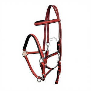 Bridon en cuir rouge avec rembourrage et quincaillerie métallique pour équipement d'équitation - Product Image 1