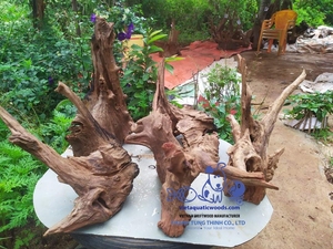 Décoration d'aquarium en bois flotté naturel, forme irrégulière, écologique, fabriquée au Vietnam, best-seller pour l'aménagement aquatique des aquariums. - Product Image 3
