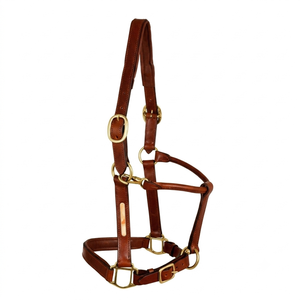 Fabricante de Cabestros de Cuero para Caballos Personalizables, Cabestro de Cuero Inglés de Alta Calidad para Carreras de Caballos a los Mejores Precios - Product Image 1