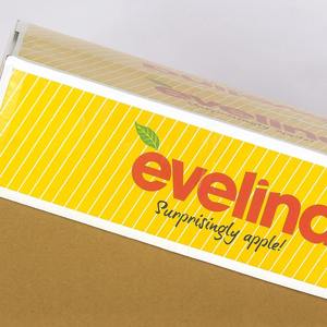 Caja de Cartón Corrugado para Manzanas de Último Diseño, para Exportación y Envíos a Larga Distancia, Disponible al Mejor Precio - Product Image 2