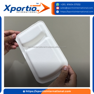 Premium Quality Bagasse 2Cp Square Meal Tray Sugar Cane <b>Pulp</b> Compartment Plate FDA Certified Bulk Supply For Food Festivals - Product Image 5