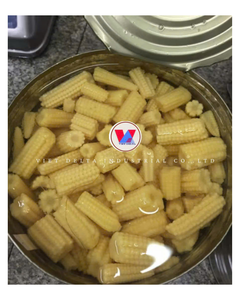 ซัพพลายเออร์ B2B สำหรับการจัดหาข้าวโพดหวานกระป๋องสดจำนวนมาก ได้รับการรับรองมาตรฐาน HACCP/BRC/ISO - Product Image 4