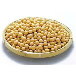 ถั่วเหลืองพรีเมียมปลอดจีเอ็มโอ พร้อมส่งออกเชิงพาณิชย์และจำหน่ายในภาคเกษตรกรรม - Product Image 2