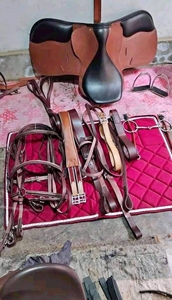 Camisas de equitación para mujer, estampadas, de cuero genuino, de secado rápido, personalizables, ropa deportiva unisex - Product Image 4