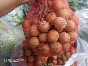 Premium Fresh Longan Vietnam Semilla pequeña Carne gruesa Fresh Longan Sweet Tropical Fruit Fresh Longan Calidad de exportación Premium 2025 - Product Image 2