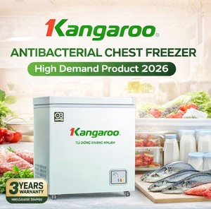 Congelador horizontal de una puerta con descongelación automática de 90L/140L, fabricado en Vietnam, refrigeración por cobre rojo. - Product Image 2