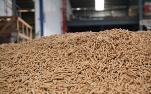 Pellets de Biomasa de Pino de Alto Valor Calorífico para Centrales Eléctricas, Sistemas de Calderas Comerciales y Aplicaciones de Calefacción Sostenible - Product Image 5