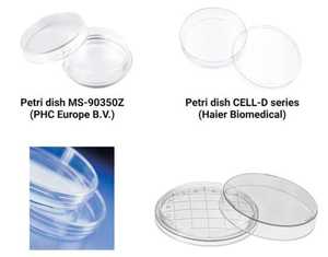 Boîte de Pétri en verre réutilisable certifiée CE, capacité de 60 mm, non stérile, alimentation manuelle pour utilisation en laboratoire - Product Image 2