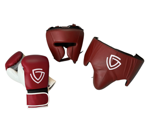 Equipo de Boxeo Profesional Personalizable de Alta Calidad, Guantes de Cuero, Protector de Cabeza, Protector Inguinal, Cuero Vacuno Transpirable - Product Image 1