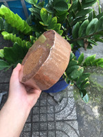 Prix le moins cher biodégradable vietnamien naturel Cocopeat Pellet Coir pour le jardinage-Coir Jiffy avec de nombreuses tailles