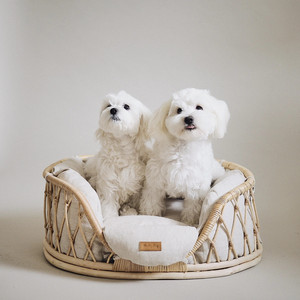 Nouveau style de maison en bois pour chien, mobilier d'extérieur et d'intérieur pour animaux de compagnie, lits en rotin faits à la main pour chiens avec coussins de matelas - Product Image 5