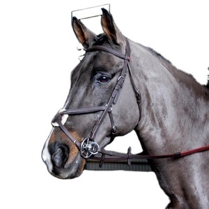 Bride mexicaine prête à rouler Bride en cuir occidental de haute qualité Headstall Cowboy Rawhide Tressé Noseband réduction de poids - Product Image 1