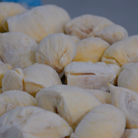 Premium Vietnamese Oorsprong Diepvries Durian IQF Hoge Kwaliteit Bulk Export Standaard Private Label OEM Leverancier Gecertificeerd Vacuüm Verpakt
