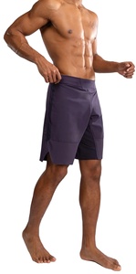 Achetez des shorts MMA à bas prix et à faible MOQ pour les arts martiaux, nouvelle arrivée 2026 - Product Image 2