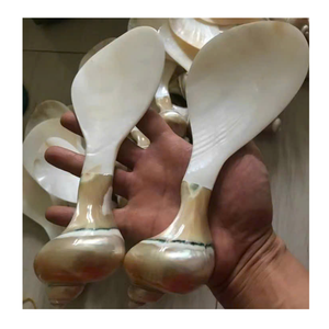 Cuillère de luxe faite à la main en nacre, manche en coquillage naturel, vaisselle décorative pour table à manger - Product Image 4