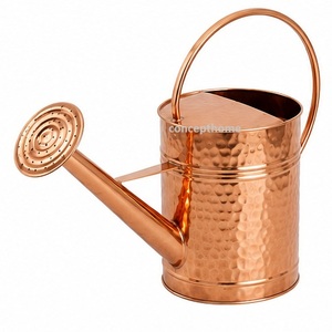 Regadera de Acero Inoxidable con Acabado Galvanizado, Duradera para Jardinería, Capacidad de 1.5L - Product Image 4