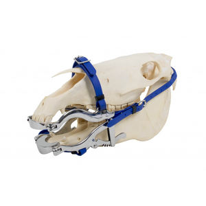 Espéculo Bucal Tipo 6 McPherson Hausmann de Calidad Premium Reutilizable para Odontología Equina Veterinaria - Product Image 2