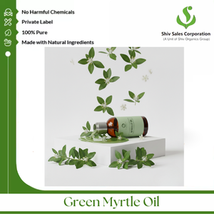 Approvisionnement exclusif d'huile essentielle de myrte verte pour les acheteurs en gros dans les industries de la création de parfums et des soins personnels - Product Image 3