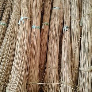 Plante de rotin de qualité supérieure pour l'artisanat et le tissage : Approvisionnement et préparation de matériaux structurés au Vietnam - Product Image 3