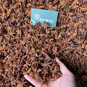 Vietnamese Spring Star Anise High Oil Content High Quality Direct Export Best Price - Product Image 1