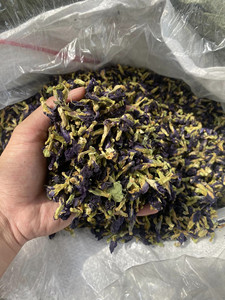 Vietnam Wholesale Supplier Premium Butterfly Pea Flower Powder Bulk Export Quality Dried Flower For Tea Use - Macy - Product Image 4