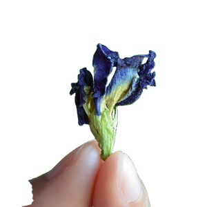 Fleurs de pois papillon séchées vietnamiennes, ingrédient botanique bleu naturel de qualité supérieure, soigneusement sélectionné, produit d'exportation propre - Product Image 2