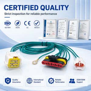 Harness Kabel Elektronik Tahan Air PBT Kustom Bersertifikasi Weisheng IATF16949 5P 9P IP67 DJ7026-2-11/21 - Product Image 5