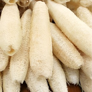 Esponja Vegetal Suave y Elástica para Venta al por Mayor, Esponja Vegetal Natural para Baño y Ducha, Hecha en Vietnam - Product Image 5