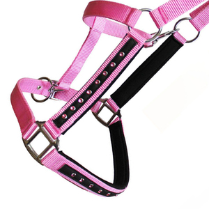 Meilleures ventes : Harnais pour chevaux en corde de PP, emballage transparent, logo personnalisé, haute qualité, confortable, durable, boucle réglable - Product Image 5
