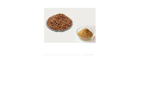 Extracto de Gramínea de Alta Calidad en Polvo, Ingrediente Natural de Kulthi Utilizado en Procesamiento de Alimentos, Aplicaciones Nutricionales e Industriales - Product Image 1