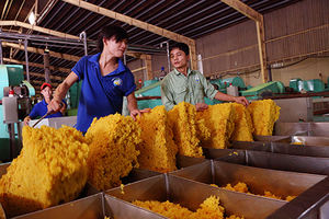 Matières premières en caoutchouc naturel SVR CV50 de qualité supérieure Normes de qualité les plus élevées Prix de gros compétitif directement de l'usine du Vietnam - Product Image 3