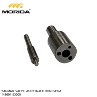 Inyección de válvula para YANMAR, Conjunto de inyección 6AYM 148691-53000