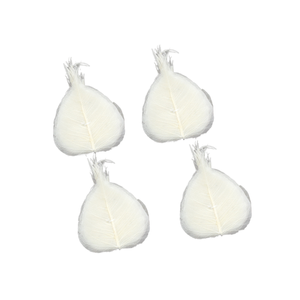 Hojas de esqueleto secas ecológicas, decoración elegante para bodas y San Valentín, flores y plantas secas - Product Image 1