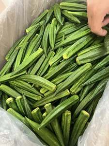 Palitos de Taro Secos de Marca Privada, Suministro a Granel de Vietnam, Venta al por Mayor de Fábrica, Batatas Secas, Snack Natural, Verduras Deshidratadas - Product Image 2