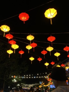 Vietnamese Silk Lantern | Handmade Bamboo | Durable Outdoor Decor | Wholesale Bulk Order - Product Image 6