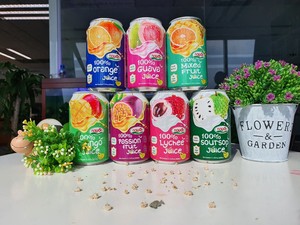 Jus de litchi 100% naturel, best-seller, boissons en conserve de 330 ml, jus de fruits mélangés, fabricant de boissons, OEM, échantillon gratuit, HALAL - Product Image 3