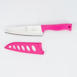 Cuchillo para Frutas JM456 de 6 Pulgadas, Acero Inoxidable, con Cubierta, Código de Color, Mango Ambidiestro, Acabado Pulido, Apto para Lavavajillas - Product Image 1
