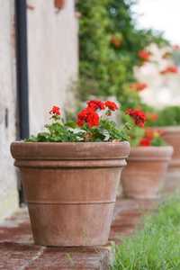 Maceta de Cerámica Roja Personalizada, Macetas de Terracota para Plantas, Plantas Verdes para Balcón - Product Image 3