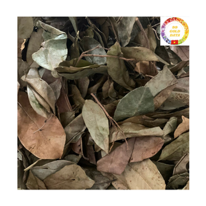 ซื้อส่วนประกอบสมุนไพรจำนวนมาก | ใบทุเรียนเทศแห้งจากธรรมชาติโรงงาน OEM - Product Image 5