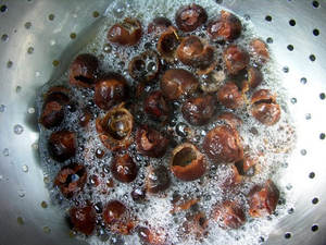 100% EXTRAIT DE SUBSTANCE DE NETTOYAGE DE NOIX DE SAVON NATURELLE FRAIS EN GROS MEILLEURE QUALITÉ PRIX LE PLUS BAS - Product Image 2