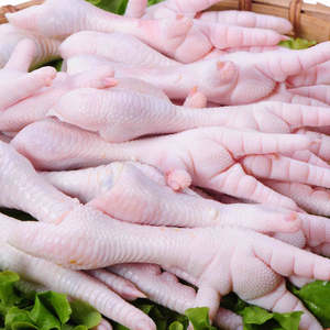Patas de Pollo Congeladas Halal 2026, Patas de Pollo Congeladas/Patas de Pollo Congeladas de Primera Calidad de Brasil, Proveedores a Granel Disponibles - Product Image 1