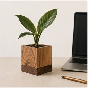 Modern Minimalist Dual-Tone Wooden Cube Planter Handcrafted Walnut & Pine Wood Flower <b>Pot</b> for Office Desk Succulent <b>Holder</b> - Product Image 6