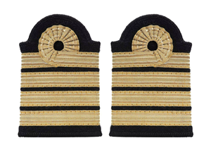 Épaulettes de pilote d'aviation personnalisées de haute qualité, brodées, pour uniforme de cérémonie - Product Image 6